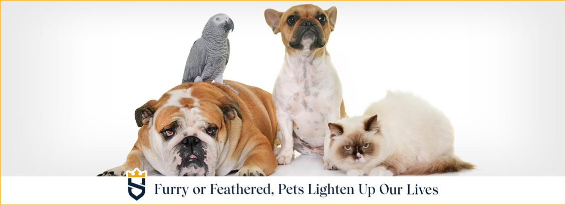 Furry or Feathered, Pets Lighten Up Our Lives