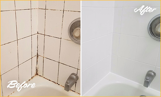 Before and After Picture of a Lake Butler Shower Tile and Grout Cleaned to Eliminate Mold