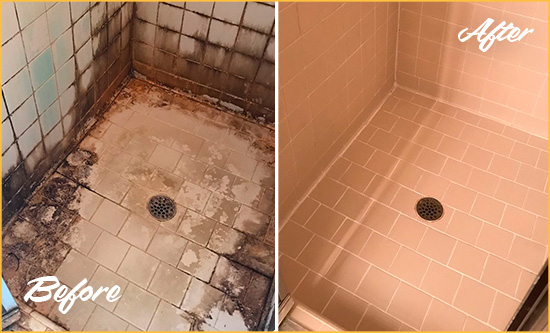 Before and After Picture of a Alafaya Shower Tile and Grout Cleaned to Repair Water Damage