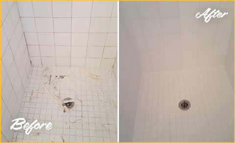Our Professional Tile and Grout Cleaners in Orlando Performed an  Outstanding Restoration Giving This Shower a Revamped New Look