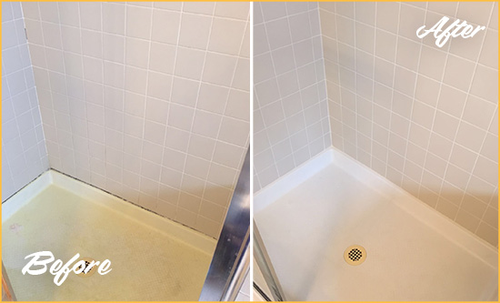 Before and After Picture of a Apopka Shower Sealed to Remove and Protect Against Mold