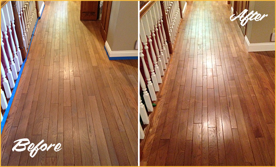 Before and After Picture of a Ocoee Wood Sand Free Refinishing Service on a Worn Out Floor