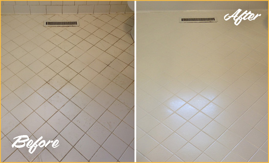 Before and After Picture of a Groveland White Bathroom Floor Grout Sealed for Extra Protection