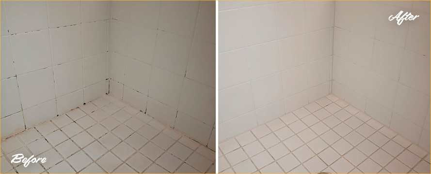 Shower Before and After a Superb Grout Cleaning in Orlando, FL