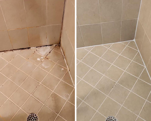 Shower Before and After a Tile Cleaning in Orlando, FL