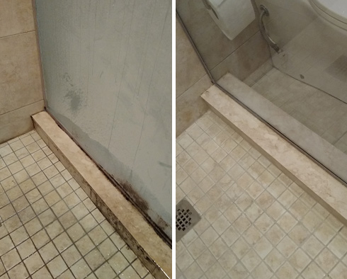 Damaged Shower Overhauled by Our Winter Garden Tile and Grout Cleaners
