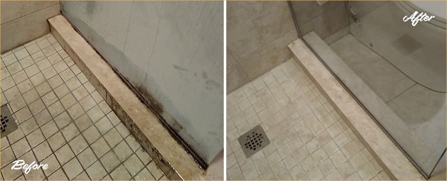 Before and after of a Shower Restoration by Our Professional Tile and Grout Cleaners in Winter Gardens