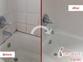 Picture of a Tile Wall Before and After a Tile Sealing Service in Orlando, FL