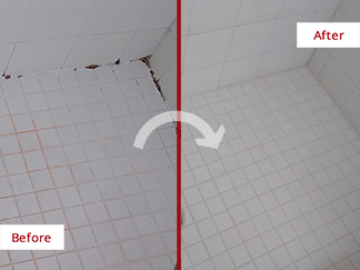 Before and After Shower Tile and Grout Cleaners in Winter Garden, FL