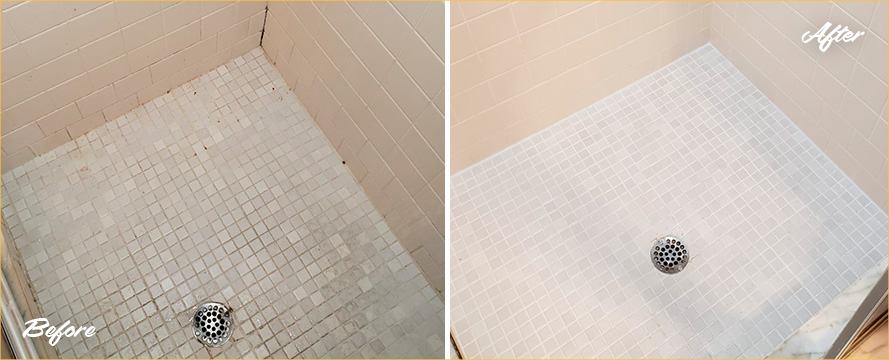 Shower Restored by Our Professional Tile and Grout Cleaners in Orlando, FL