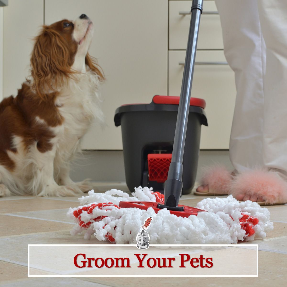 Groom Your Pets