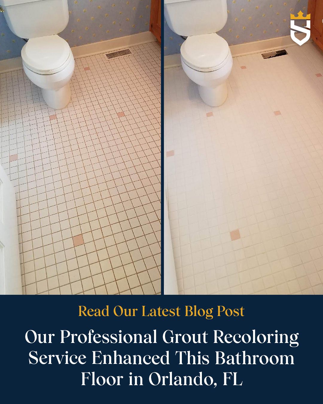 Our Professional Grout Recoloring Service Enhanced This Bathroom Floor in Orlando, FL